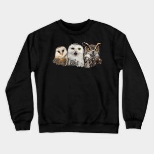 Owls and owl Crewneck Sweatshirt